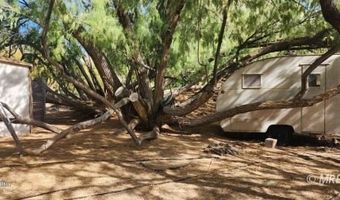 4855 Gold Butte Rd, Bunkerville, NV 89007