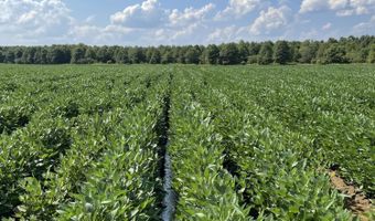 Straight Bayou Road, Anguilla, MS 38721