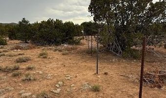 31 County Road 3044, Concho, AZ 85924