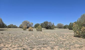 45245 Wooden Wheel Rd, Ash Fork, AZ 86320