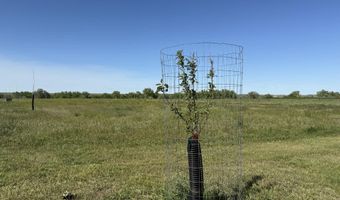 TBD Lot 3 Wild West Place, Belle Fourche, SD 57717