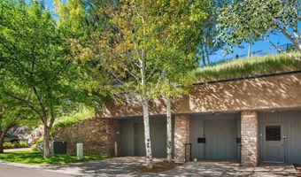 102 Wild Spring Ln, Basalt, CO 81621