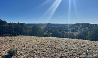 2 N8604, Concho, AZ 85924