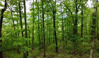 Paradise Lane, Bee Branch, AR 72013