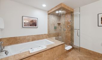 415 E Dean St. Unit 49 Week 33, Aspen, CO 81611
