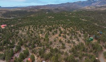PN TBD BACHE ST & MESITA DR, Alto, NM 88312