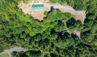 5530 LEWIS RIVER Rd, Ariel, WA 98603