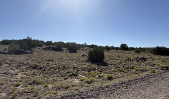Lot 49 Windsor valley Ranch Drive, Concho, AZ 85924
