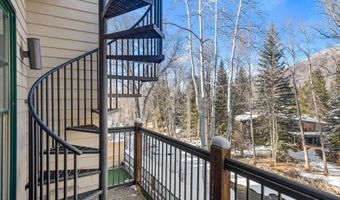 990 E Hopkins Ave, Aspen, CO 81611