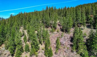 NNA Canary Creek Rd, Cataldo, ID 83810