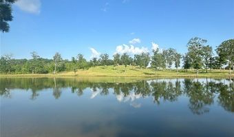 58 Cross Creek Rd, Alexander City, AL 35010