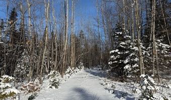 US-1 lot 10, Baring Plt, ME 04694