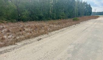 NW 11th Ave, Bell, FL 32619