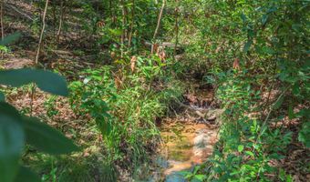 147 Golden Pond Ct, Aiken, SC 29803