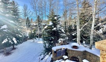 1395 Snowbunny Ln, Aspen, CO 81611