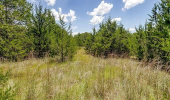 2828 COUNTY ROAD 805B, Keene, TX 76031
