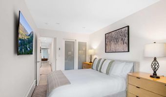 100 E Dean St 3B, Aspen, CO 81611