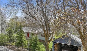 19591 Queens Crown Rd, Carey, ID 83320