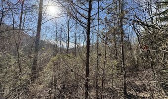 1135 Ned Clark Rd, Bean Station, TN 37708