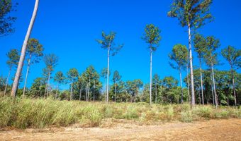 510 Rabbit Pen Dr, Appling, GA 30802