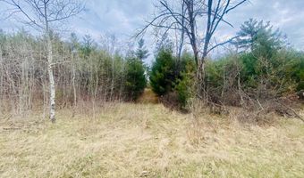 42 53A COUNTY ROAD Q, Amherst Junction, WI 54407