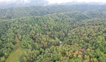 1515 Ned Clark Rd, Bean Station, TN 37708