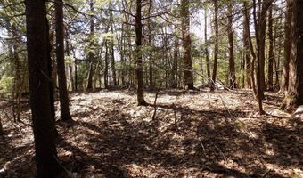 Skyline Ridge Rd. lot 7, Becket, MA 01223