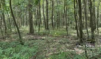 31 Oak Dr, Albright, WV 26519