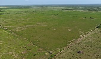 FM 1352, Alice, TX 78332