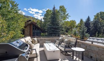 1154 E Cooper Ave B, Aspen, CO 81611