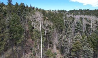 Tbd Apache Circle, Angel Fire, NM 87710
