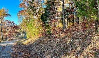 Lakefront Place, Baneberry, TN 37890