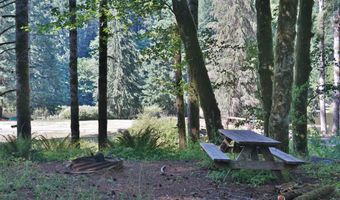 9965 BEACH Dr, Birkenfeld, OR 97016