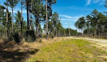 5-6 Laird Lane FM 357, Apple Springs, TX 75926