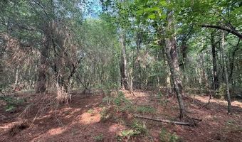 Carbon Plant Road, Bastrop, LA 71220