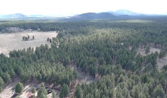 0 FOREST ROAD 193 St, Flagstaff, AZ 86001