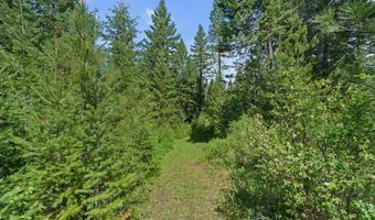 200 DANCING LIGHTS Ln, Athol, ID 83801