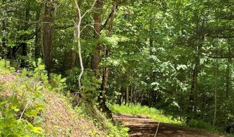 21 Collett Woods Trl Lot #21, Andrews, NC 28901