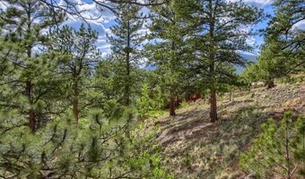 226 Hall Rd, Bailey, CO 80421