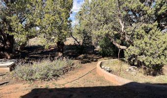 43 N9157, Concho, AZ 85924