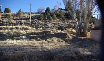 1265 Aultman St, Ely, NV 89301