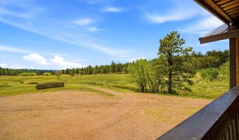 28 County Road 2310, Alpine, AZ 85920