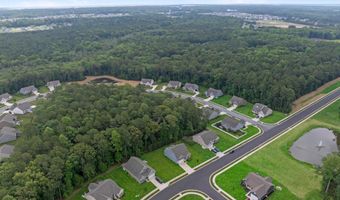 20456 RAGTOP Xing, Harbeson, DE 19951