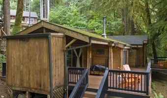 10251 Ridgview Ter, Birkenfeld, OR 97016