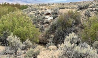 740 CHIATOVICH CREEK Rd, Dyer, NV 89010