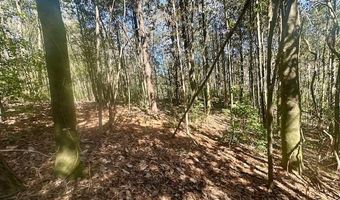 0 Tervin Mill Rd, Andalusia, AL 36421