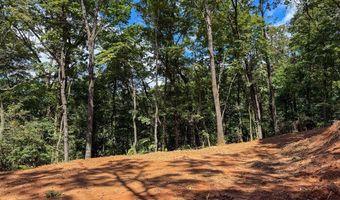 3 Black Rock Trl 3, Andrews, NC 28901