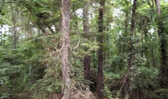120 LR 180, Ashdown, AR 71822