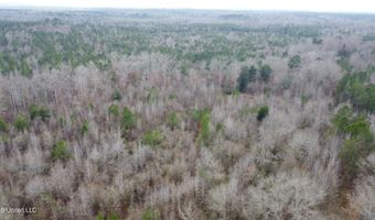Saint John Road, Braxton, MS 39044