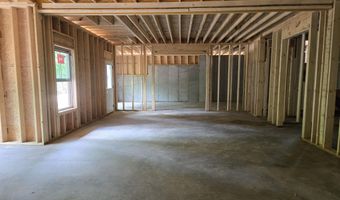 10586 Brownspring Dr 113, Apison, TN 37302